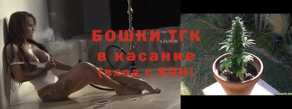 молекула духа Новодвинск