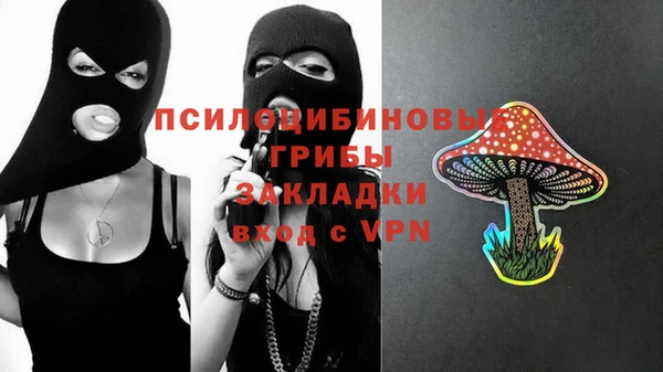 дживик Пестово