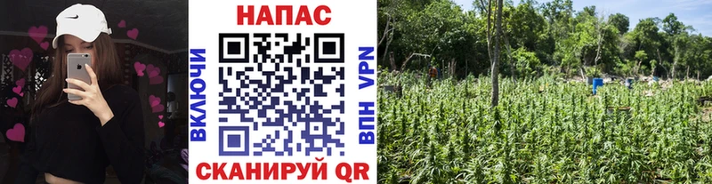 МАРИХУАНА SATIVA & INDICA Озёрск